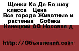 Щенки Ка Де Бо шоу класса › Цена ­ 60 000 - Все города Животные и растения » Собаки   . Ненецкий АО,Носовая д.